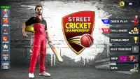 Kejuaraan Kriket Jalanan Screen Shot 0
