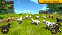Wild Dog Pet Simulator Games Screen Shot 3