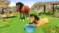 Wild Horse Family Life Game Screen Shot 17