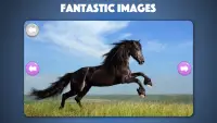 Horse and Pony jigsaw puzzles Screen Shot 0