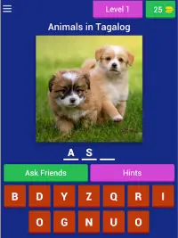 Animals Quiz Game (Learn Filipino Language) Screen Shot 9