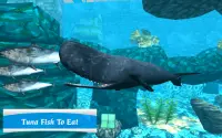 Whale Sim - Sea Eater Screen Shot 3