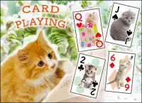 Cats Playing Card Games Screen Shot 0