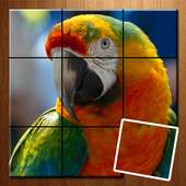 Tiled Picture Game - Animal