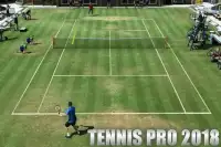 3D Ultimate Tennis Screen Shot 1