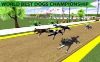 Real Dog Racing Championship Screen Shot 2