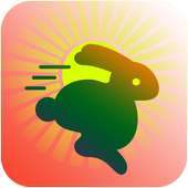 Evolusi Rabbit Run - Run to The Jungle Temple 2