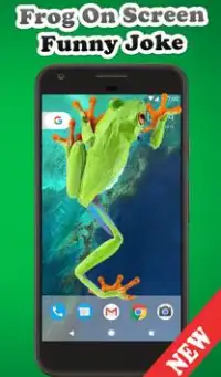 Frog On Screen Funny Joke Screen Shot 0