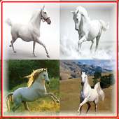 White Horse Spiel