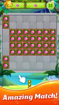 Block Puzzle : Fruit Match Screen Shot 3