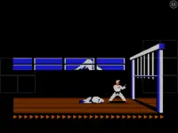 Karateka Classic Screen Shot 8