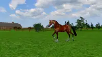 Jumpy Horse Breeding Screen Shot 2