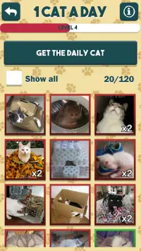 1 Cat a Day Screen Shot 0