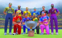 World Cup T20 Cricket: WCCC Screen Shot 8