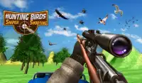 Hunting Birds: Sniper Shooting Screen Shot 5