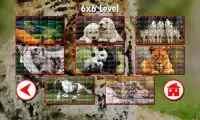 Animaux Puzzles Screen Shot 3