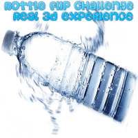 Bottle Flip Challenge 3D
