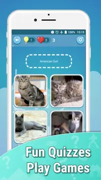 Jogos Grátis Adivinha Quiz Kittens Cute Cats ❓🐱⁉️ Screen Shot 6