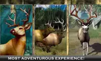 White Tail Deer Hunting 2016 Screen Shot 1