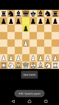 Chess Pro Screen Shot 2