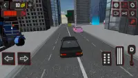 Car Driver Simulator Screen Shot 3