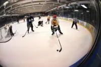 Entrenamiento de hockey hielo Screen Shot 1