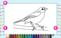 Coloring Games For Kids - Toddlers Colouring Pages Screen Shot 6