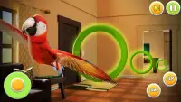 Pet Vet Parrot Simulator: Bird Games Screen Shot 1