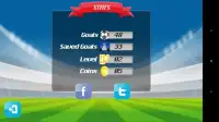 Campionato Obiettivo di calcio Screen Shot 3