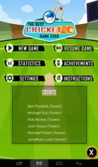 The Best Cricket Game Ever Screen Shot 8