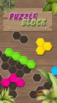 Puzzle Solving - Block Game Screen Shot 2