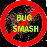 Bug Smash Screen Shot 2