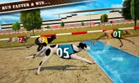 Dog Race & Stunts 2016 Screen Shot 3