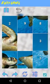 Turtle Jigsaw Puzzle Screen Shot 2