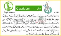 Daily Horoscope In Urdu Screen Shot 2