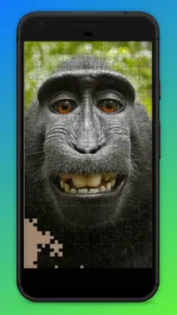 Monkey Jigsaw Puzzles - Primate Jigsaws Screen Shot 2