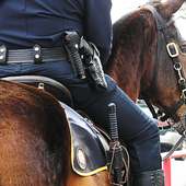 Полиция лошади Обучение