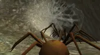 Spider Nest Simulator - insect and 3d animal game Screen Shot 3