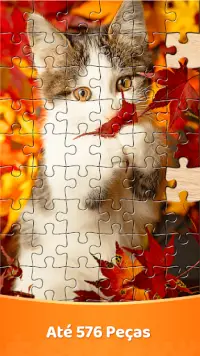 Jigsaw Puzzles: Coletar Imagem Screen Shot 5