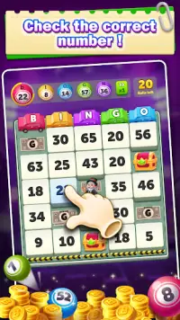 Fortune Bingo Land Screen Shot 0