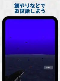 クジラ育成 Screen Shot 4