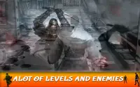 Ninja Warrior Revenge of Assassin:Samurai Vengence Screen Shot 2