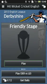 Hit Wicket Cricket - English County League Game Screen Shot 5