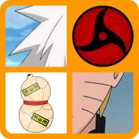 4 Pics Shinobi