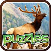 Animals Puzzle Games For Kids