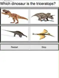 Dinosaur Quiz Screen Shot 1