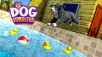 犬シムペットハスキー動物ゲーム Screen Shot 2