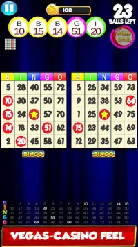 Bingo: New Free Cards Game Vegas and Casino Feel Screen Shot 3