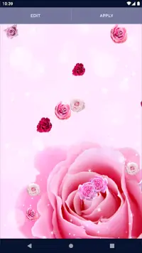 Spring Rose Live Wallpaper Screen Shot 4