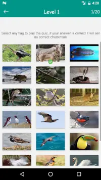 Animals & Birds Quiz Game Screen Shot 2